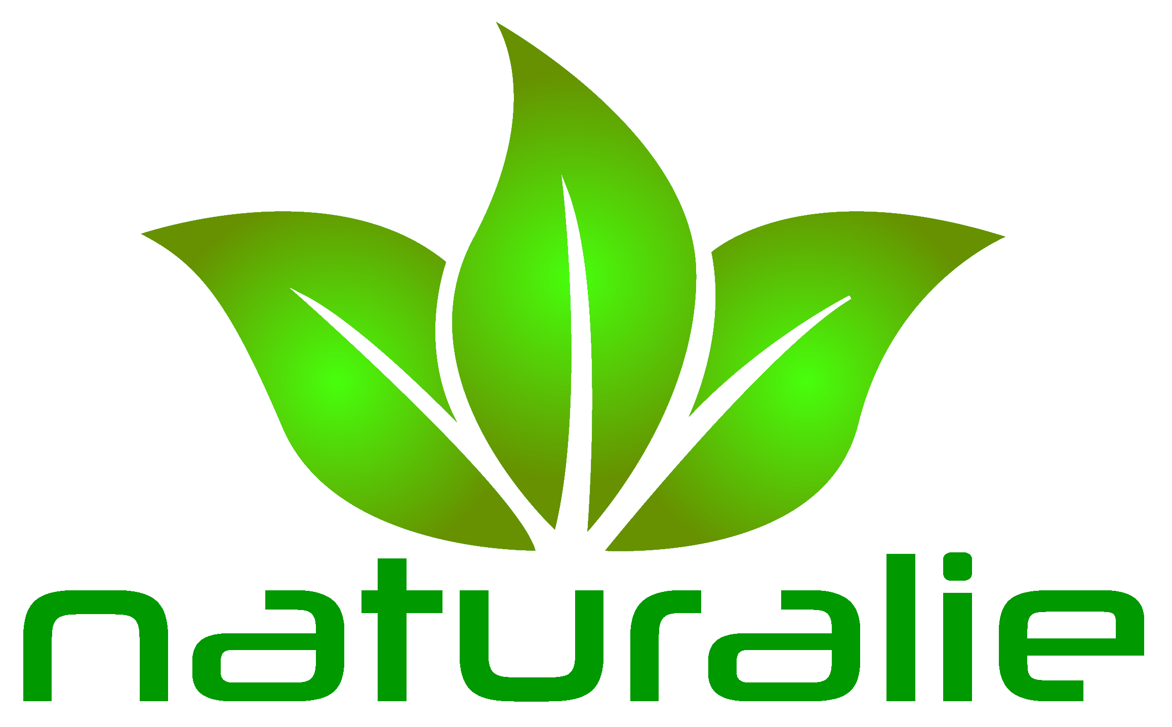 Logo von naturalie