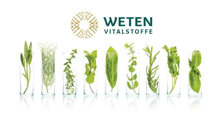 Foto mit Pflanzen in Reagenzglas bei Weten Vitalstoffe
