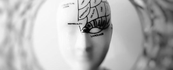 Stylistische Darstellung eines menschlichen Gehirns