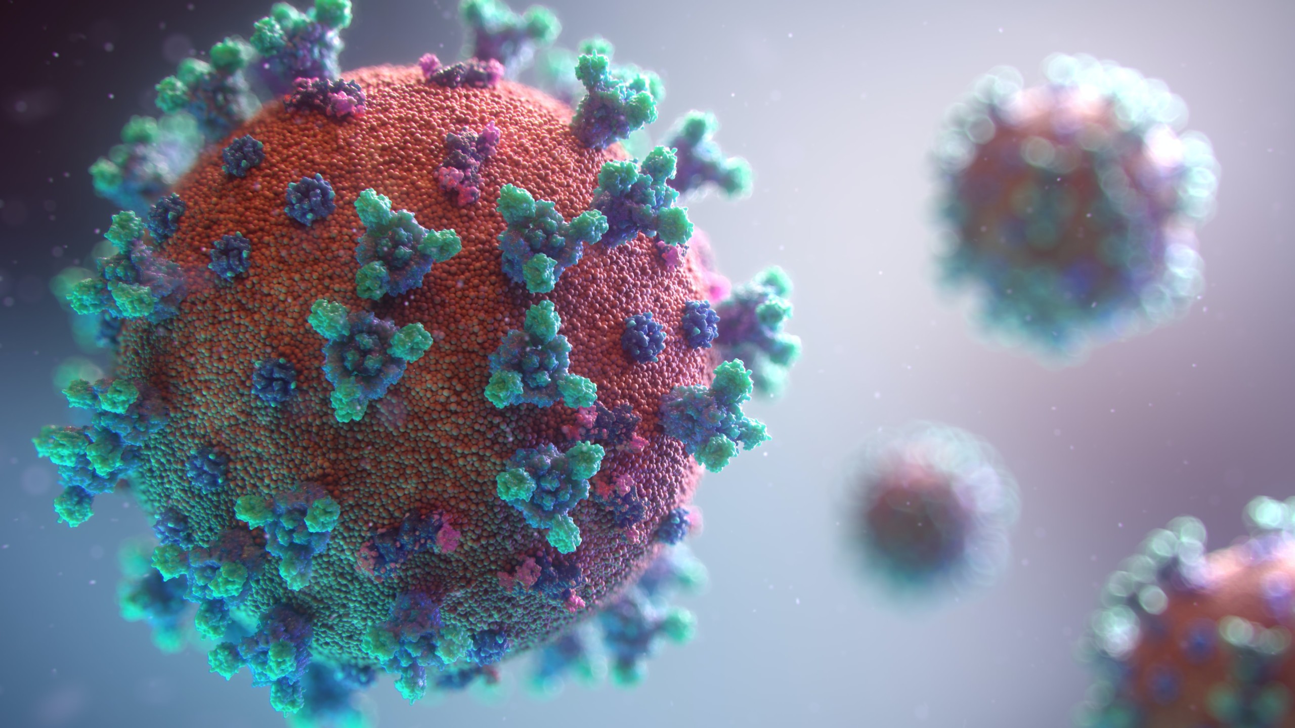 Stilistische Darstellung eines Corona-Virus