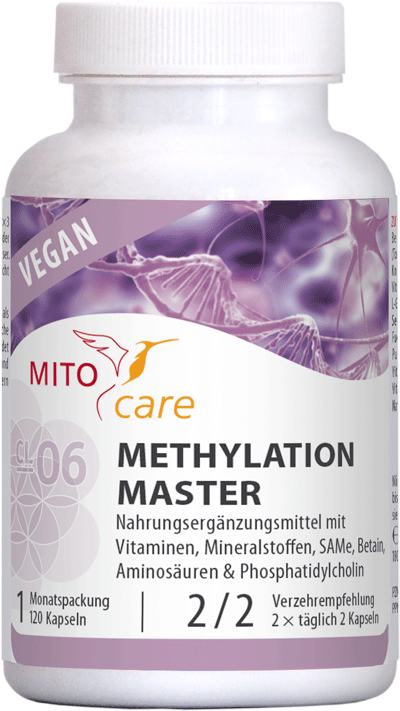 Vorschaubild: Methylation Master