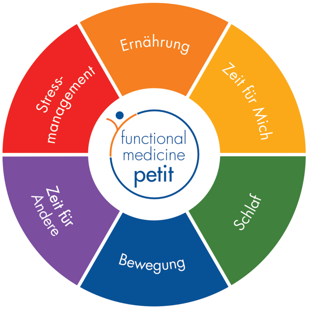 Schaubild: Faktoren der functional medicine bei Patrick Petit