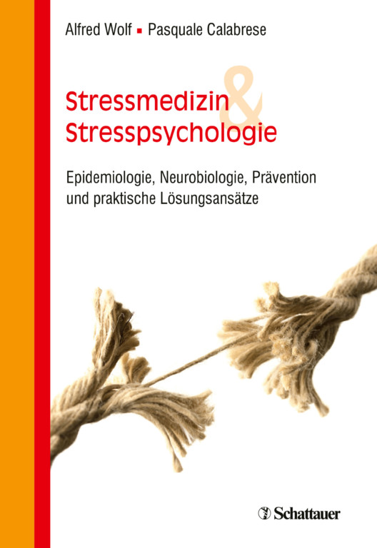 Vorschaubild: Stressmedizin und Stresspsychologie
