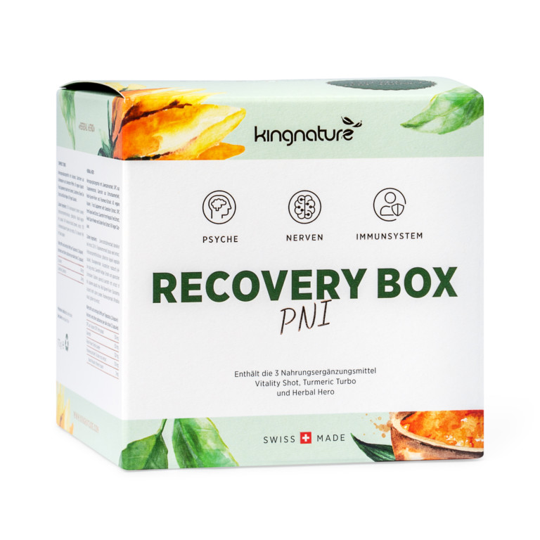 Vorschaubild: Recovery Box