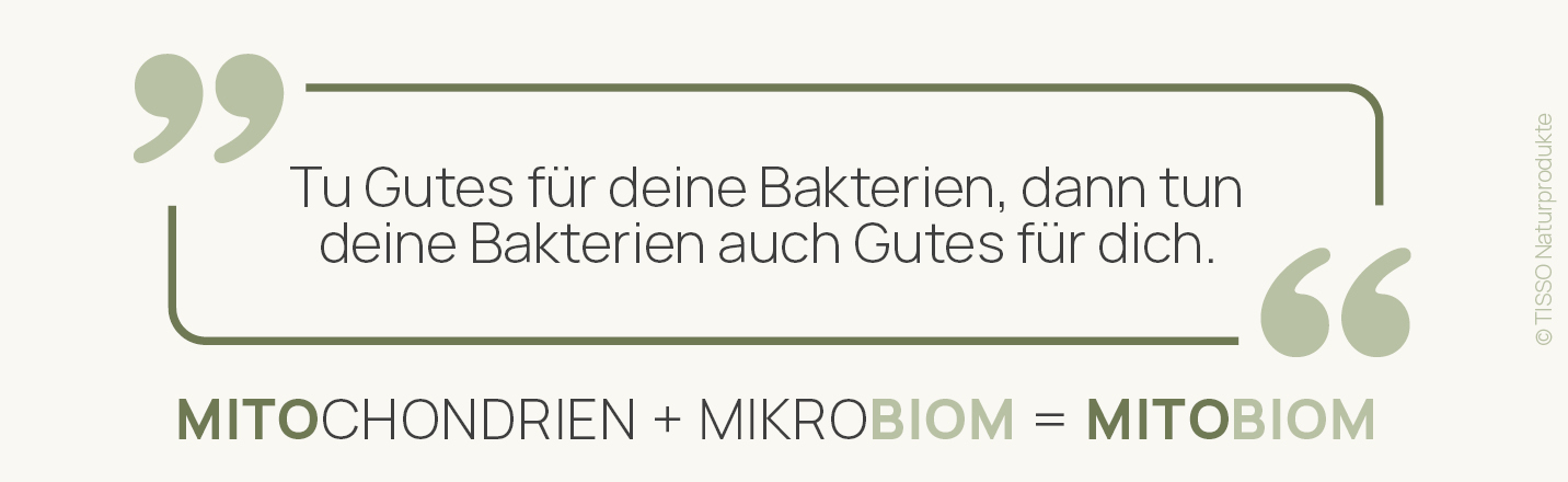 MitoBiom-Leitsatz von TISSO: Tu Gutes für deine Bakterien, dann tun deine Bakterien auch Gutes für dich.