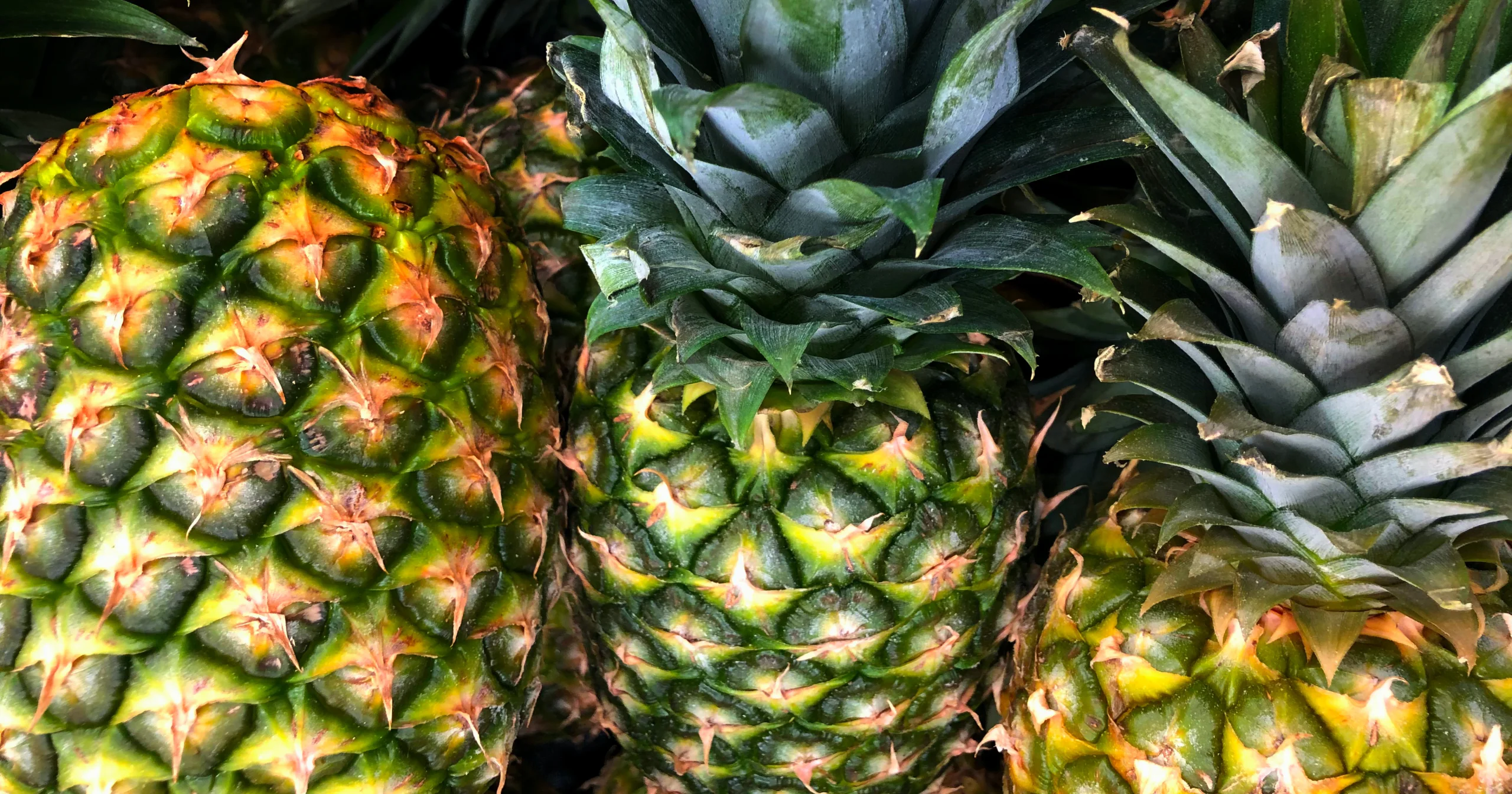 Pflanzenwirkstoff Bromelain: Enzym aus der Ananas