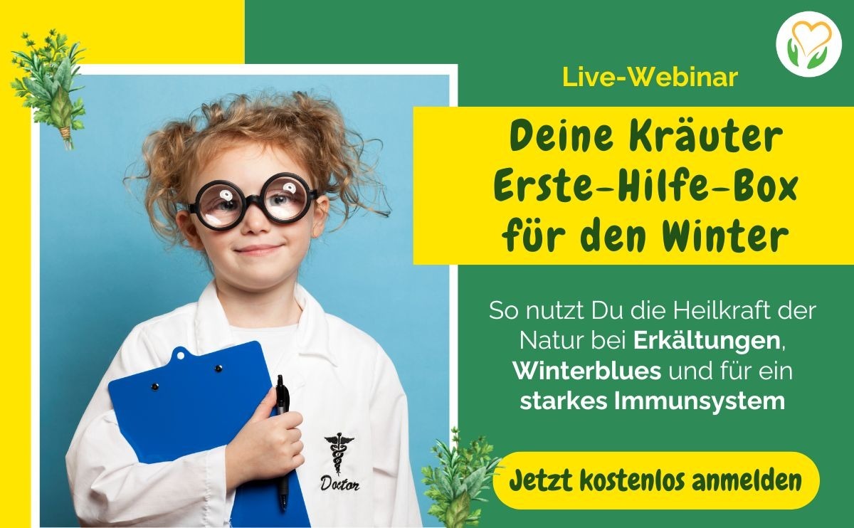 kräuterbox banner vorschaubild