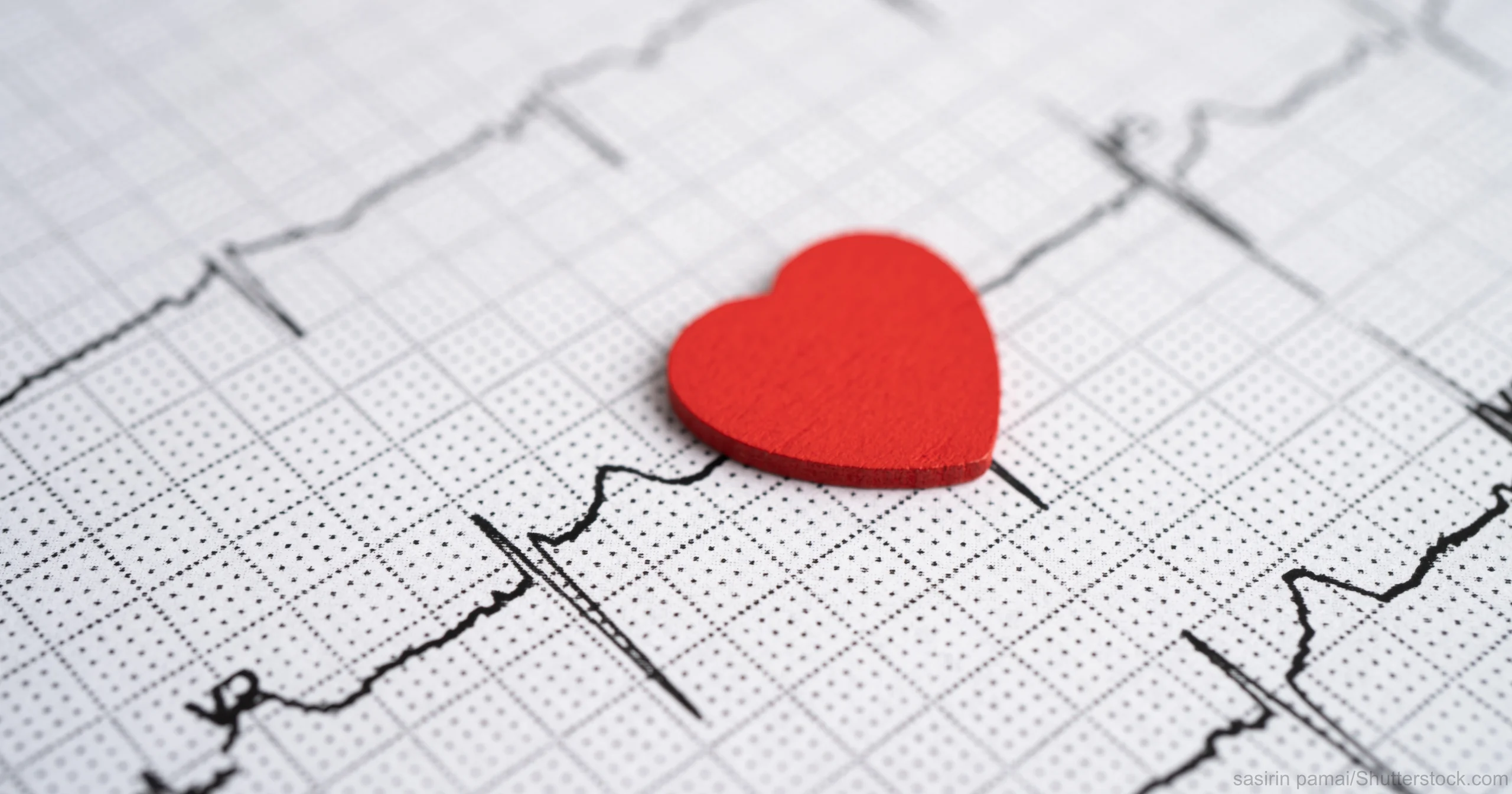 Herzratenvariabilität sichtbar machen – Symbolbild für emotionale Balance und Biofeedback Vitalpilze
